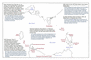 sto88 bass strait_thumb.gif